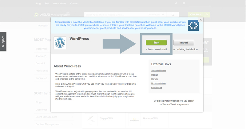 Wordpress Set Up